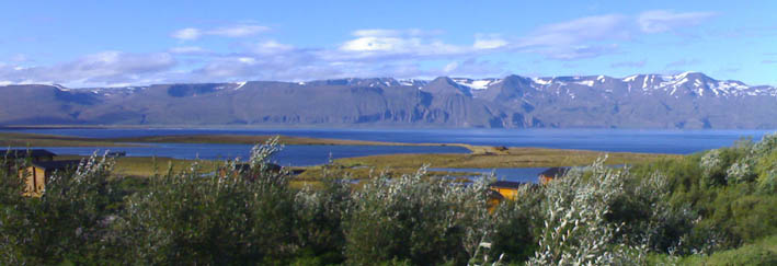 the cottages sit just above a major netsting area for birds