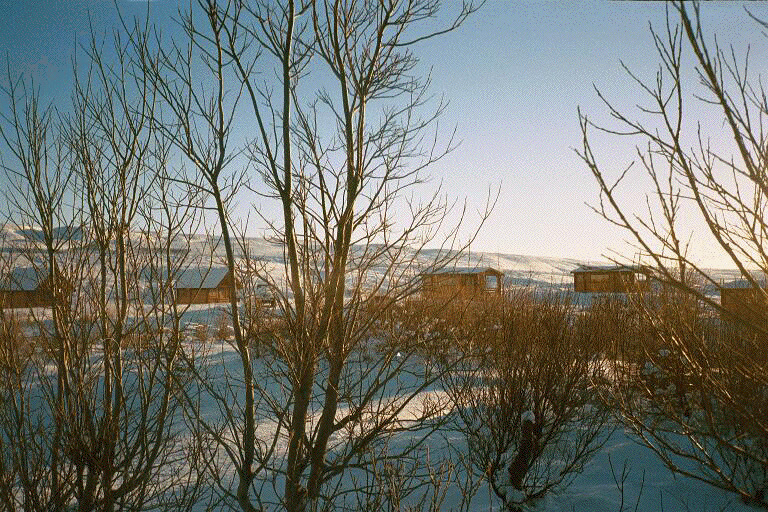 The cottages in Husavik North Iceland have extra privacy over a regular hotel room.