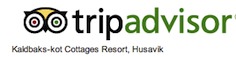 tripadvisor